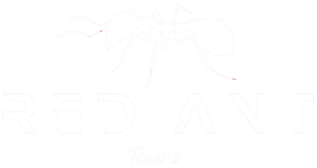 white - Red Ant Tours