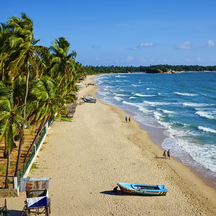 Sri Lanka 10-Days Eastern Beach & Wild life Adventure