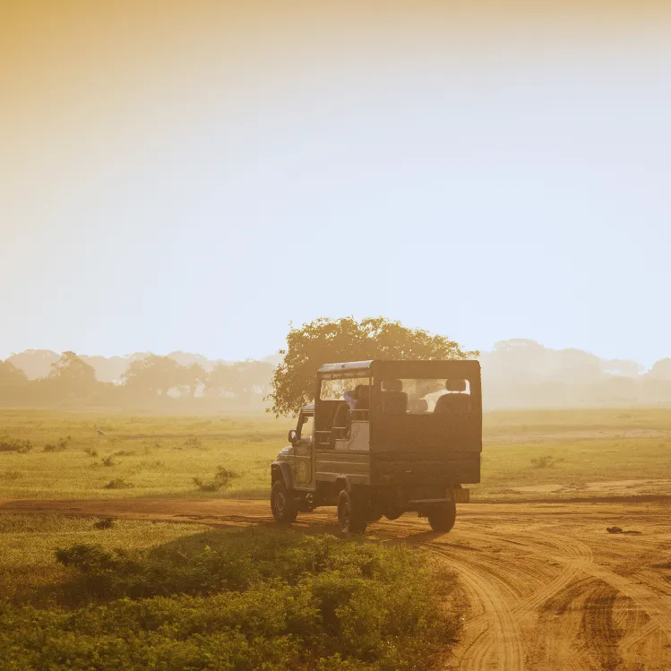 Sri Lanka 15 Days Journey the wildlife and the coastal beauty